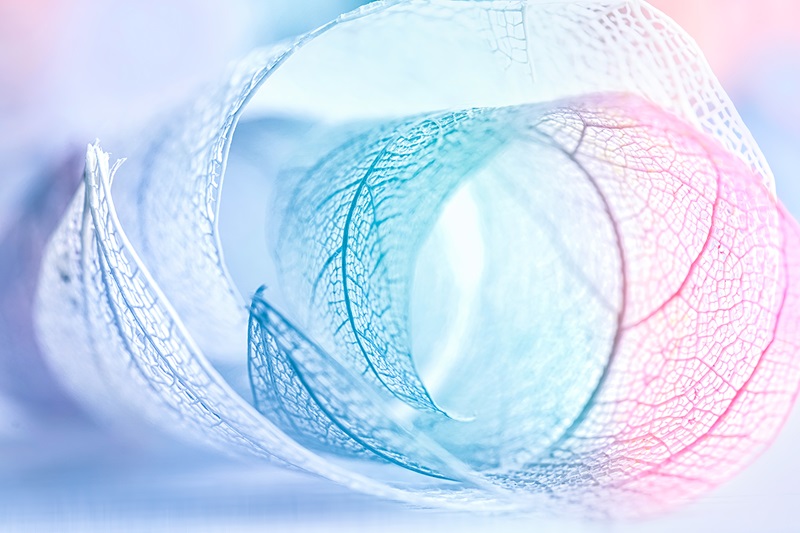 Kibar Holding Sürdürülebilirlik Yaklaşımı