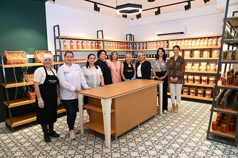 Toplumsal Cinsiyet Eşitliği Projeleri